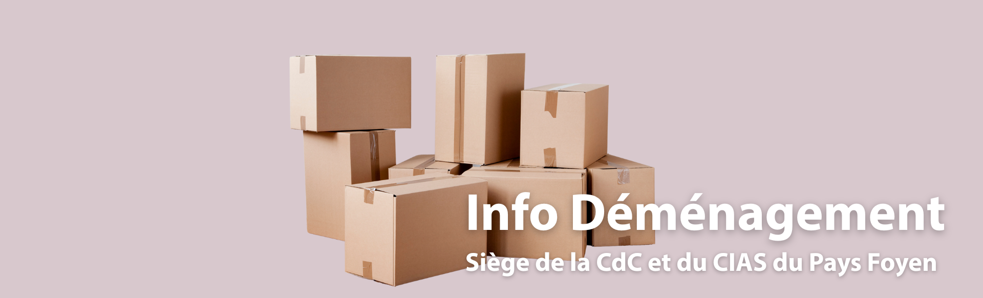 Cartons de déménagement