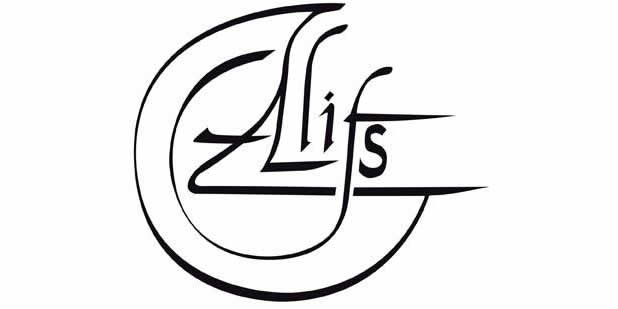 Association du lien interculturel familial et social (ALIFS)