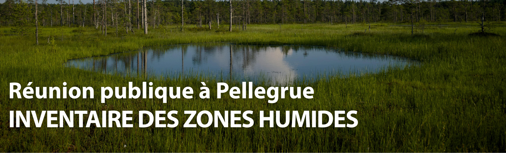 plan d'eau dans un champ